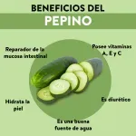 GTIN-0608312004954-04