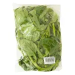 GTIN-7428630101929-02