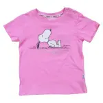 GTIN-8445975049647-01