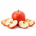 GTIN-0000000030205-01