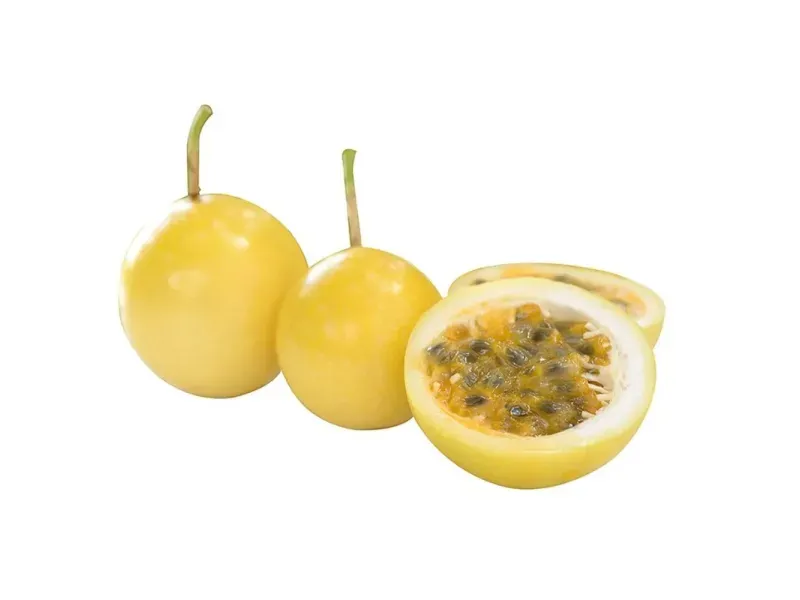 GTIN-0000000033121-01