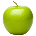 GTIN-0000000031882-02