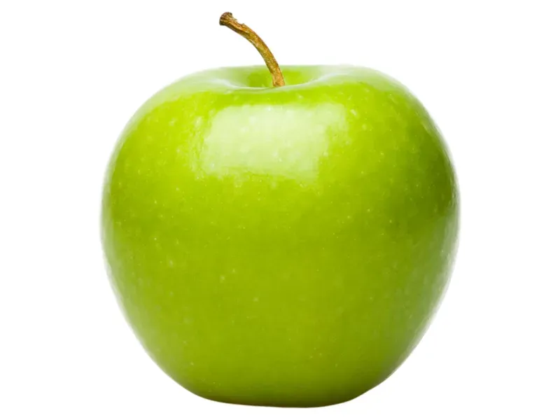 GTIN-0000000031882-02