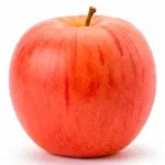 GTIN-0000000030205-02