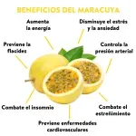 GTIN-0000000033121-03