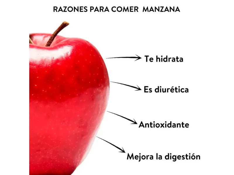 GTIN-0000000030205-03