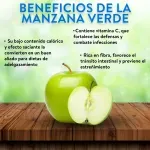 GTIN-0000000031882-03