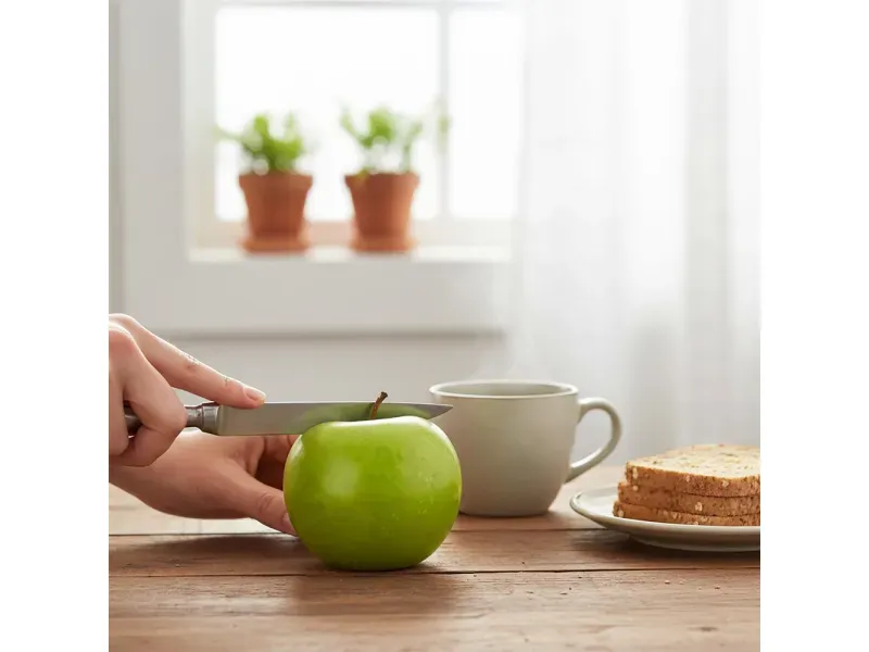 GTIN-0000000031882-04