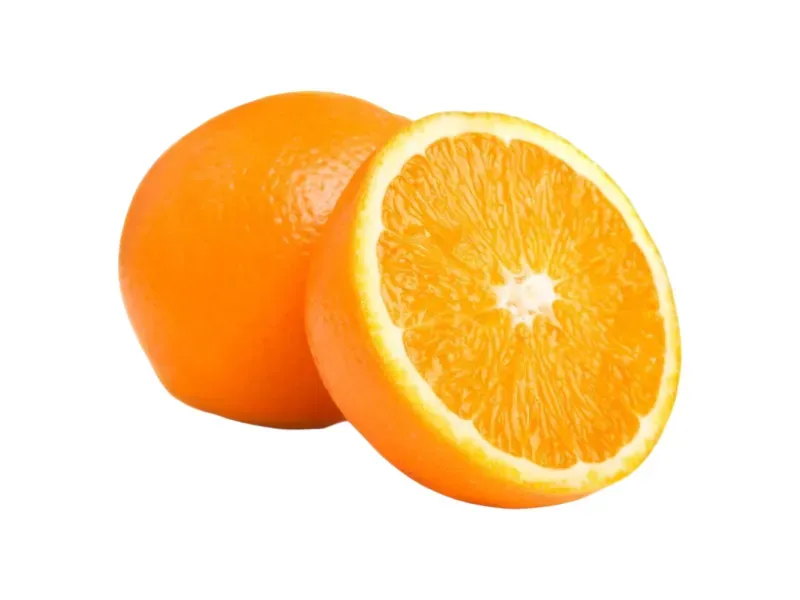 GTIN-0000000043892-01