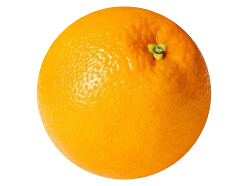 GTIN-0000000043892-02