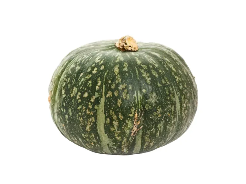 GTIN-0000000041218-02