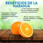 GTIN-0000000043892-03