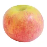 GTIN-0000000041317-02