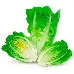 GTIN-0000000046404-01