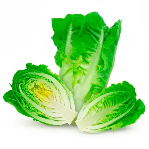 Lechuga Hortifruti Romana - Precio indicado por unidad
