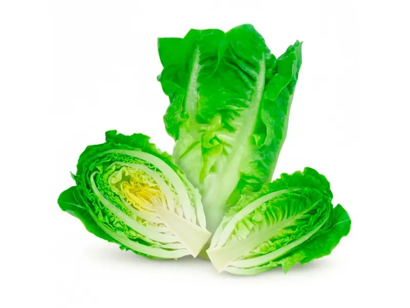 GTIN-0000000046404-01