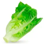 GTIN-0000000046404-02