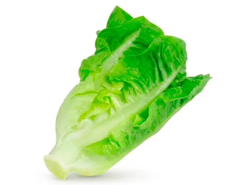 GTIN-0000000046404-02