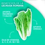 GTIN-0000000046404-03