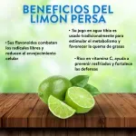 GTIN-0000000071789-03