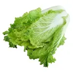 GTIN-0000000072908-01