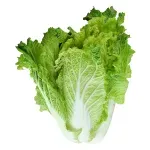 GTIN-0000000072908-02