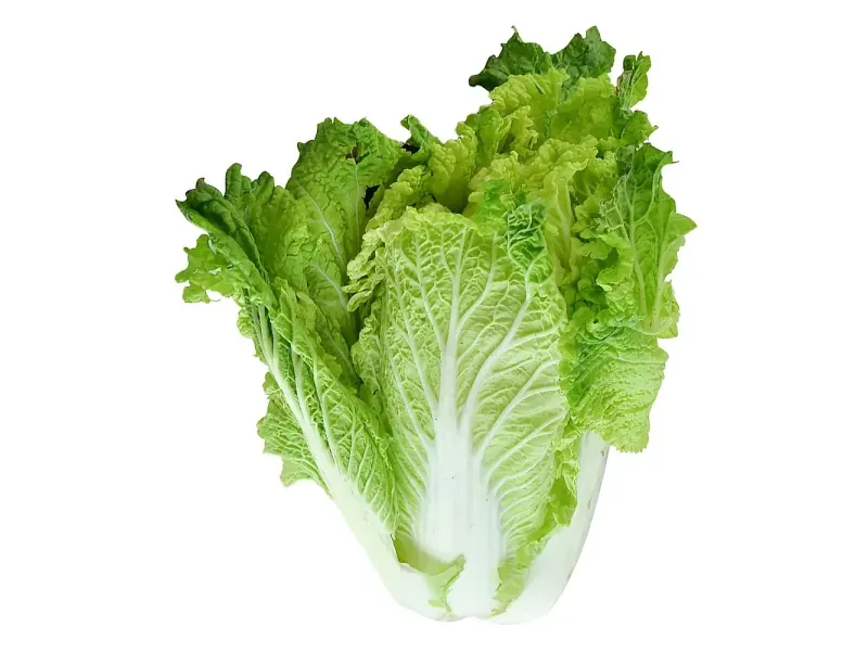 GTIN-0000000072908-02