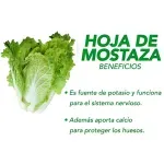 GTIN-0000000072908-03