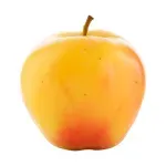 GTIN-0000000073288-02