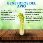 GTIN-0608312000307-02