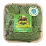 GTIN-0608312001175-02