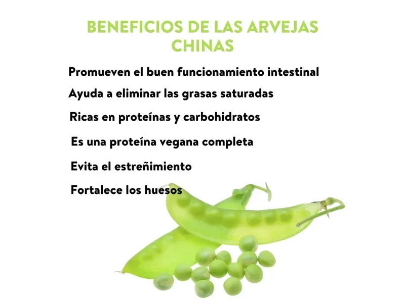 GTIN-0608312001175-04