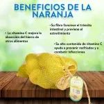 GTIN-7421603100011-03