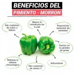 GTIN-7428630119924-03