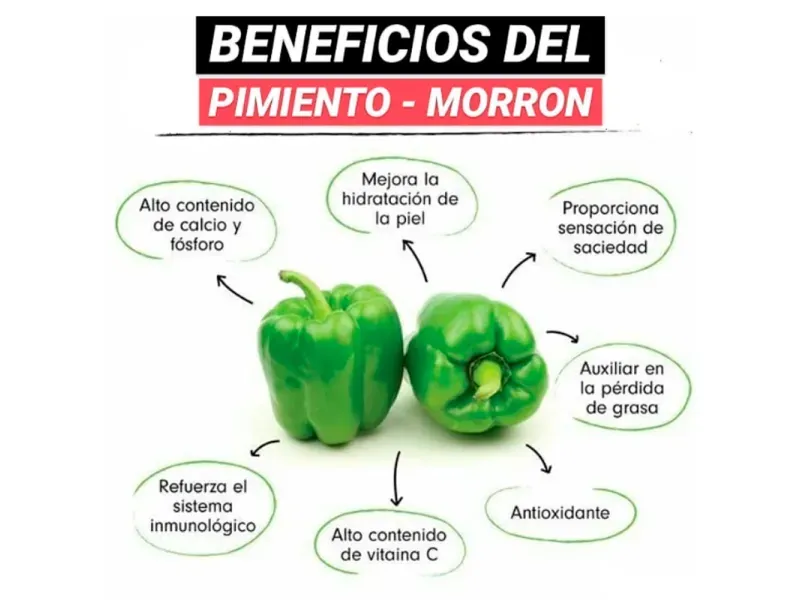 GTIN-7428630119924-03