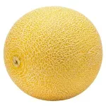 GTIN-0000000043267-02