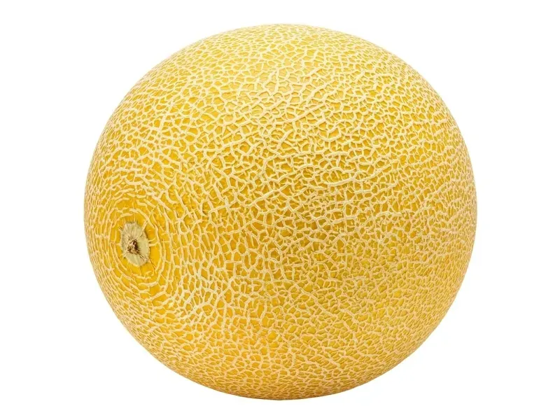 GTIN-0000000043267-02