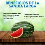 GTIN-7428630131407-03