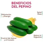 GTIN-0000000082945-03