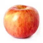 GTIN-0000000042062-02