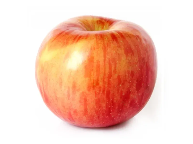 GTIN-0000000042062-02