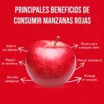 GTIN-7428630104678-03