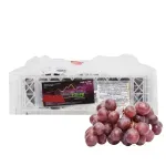 GTIN-7428630104814-01