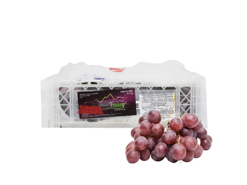 GTIN-7428630104814-01