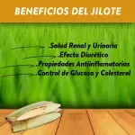 GTIN-7428630131285-03