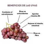 GTIN-7428630104814-05