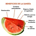 GTIN-7428630104111-04