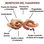 GTIN-7422231100022-03