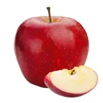 GTIN-0000000074841-01