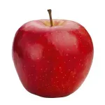 GTIN-0000000074841-02